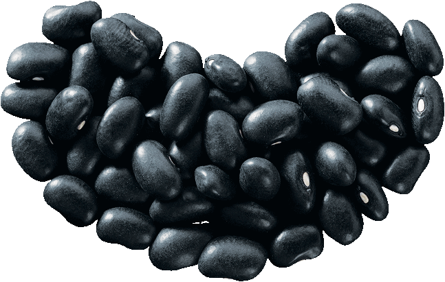 Kidney Beans PNG High Quality Image