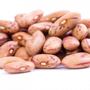 Kidney beans png pic