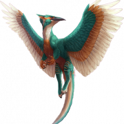 Kingfisher PNG Free Download