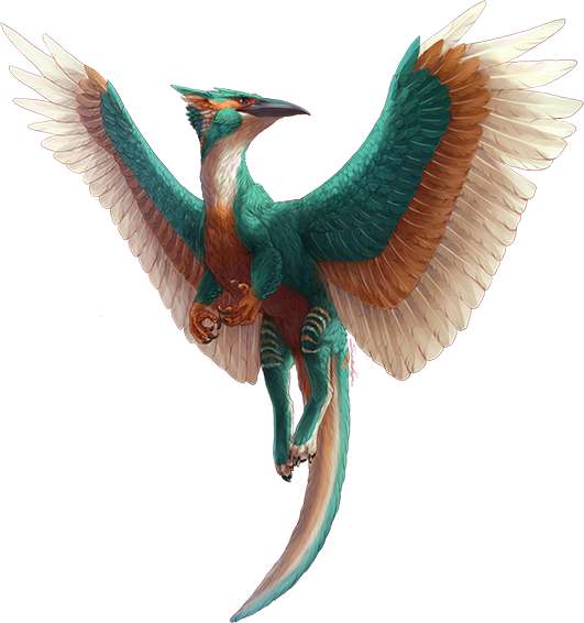 Kingfisher PNG Free Download