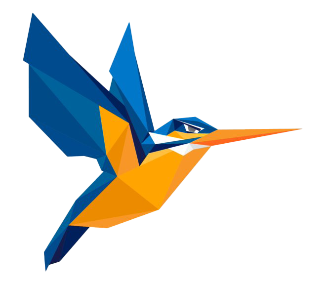 Kingfisher PNG