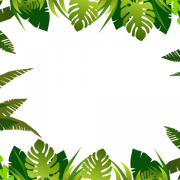 Leaf PNG High Quality Image