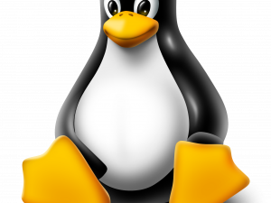 Linux -Logo PNG Image Download Bild