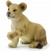 Lion Cub PNG Free Download
