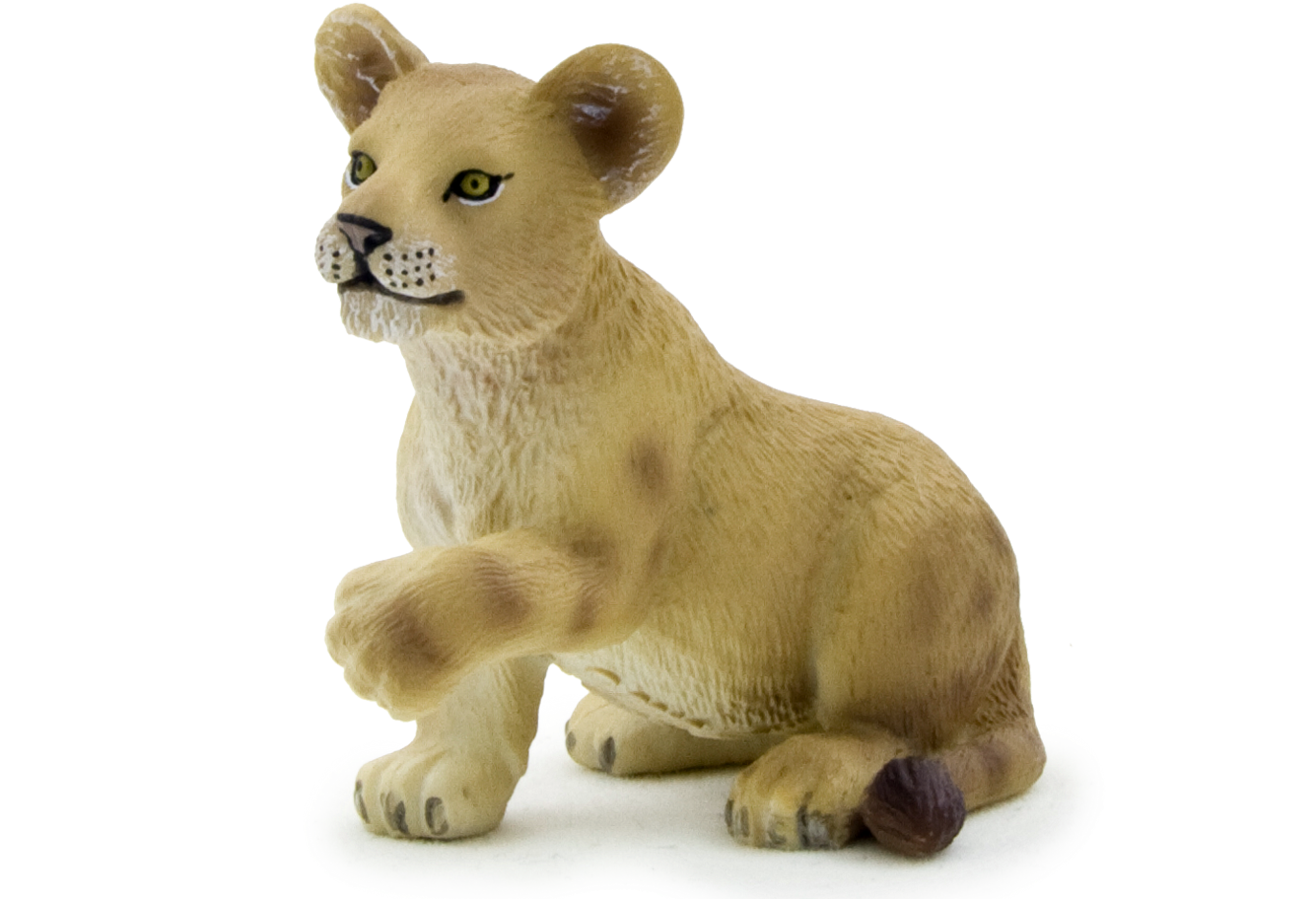 Lion Cub PNG Free Download