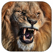 Lion Roar PNG Free Download
