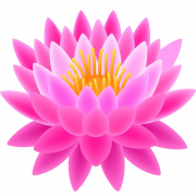 Lotus Blume PNG -Datei