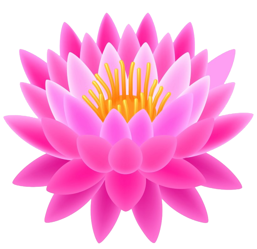 Lotus Flower PNG File