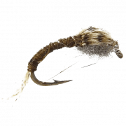 Mayfly Png