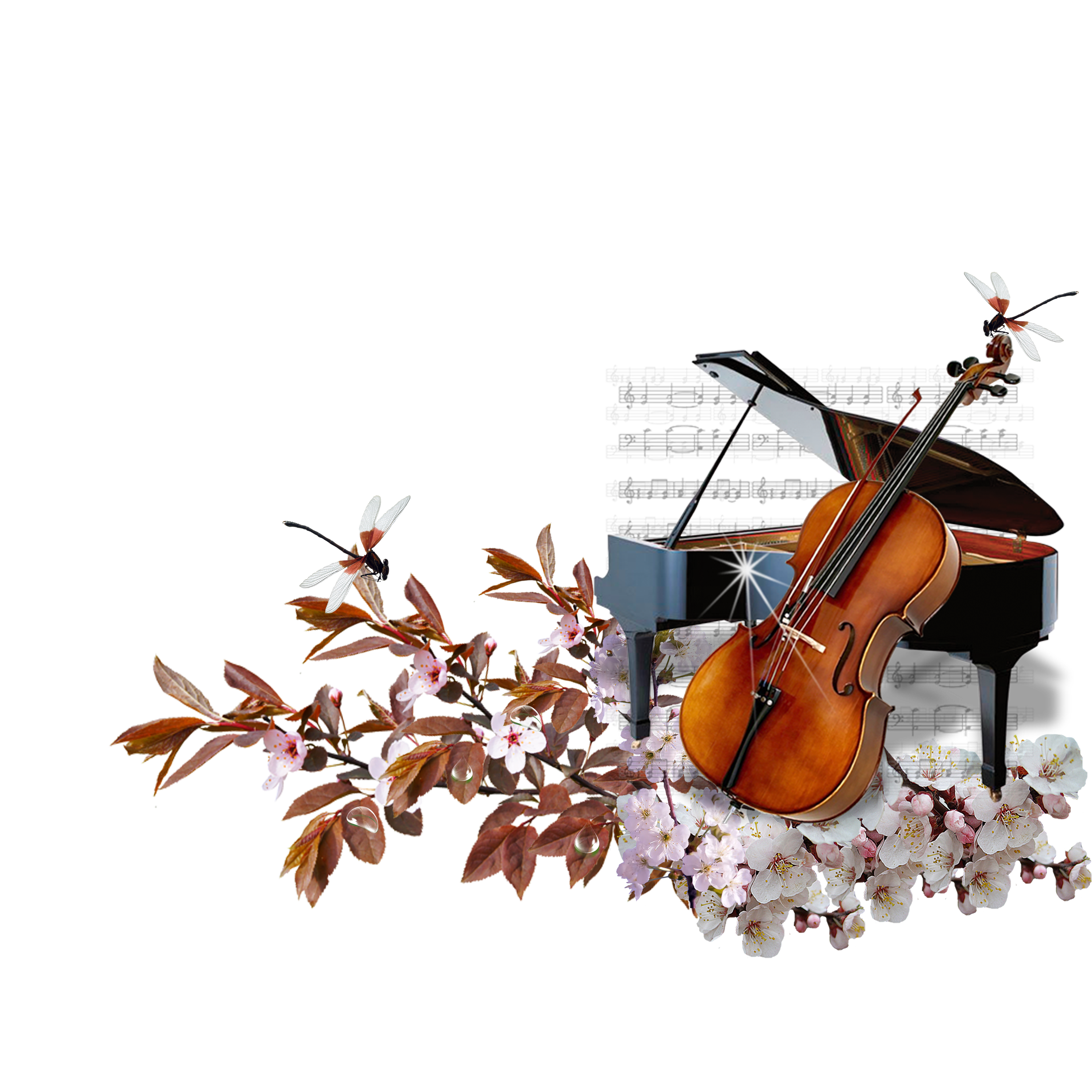 Musical Instrument Cello PNG File