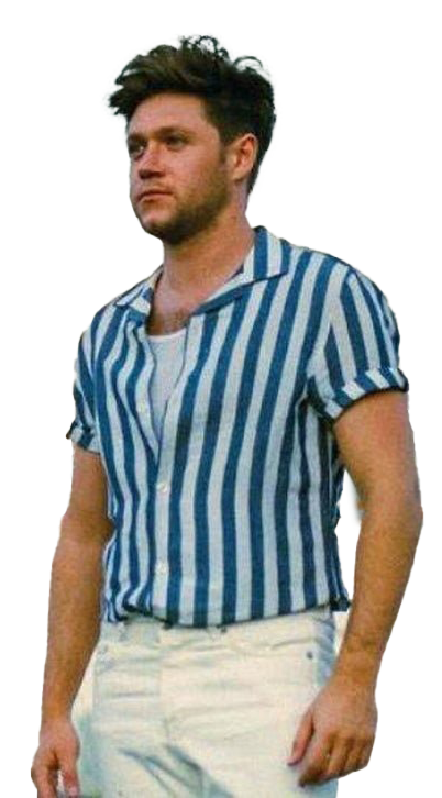 Niall Horan PNG HD รูปภาพ