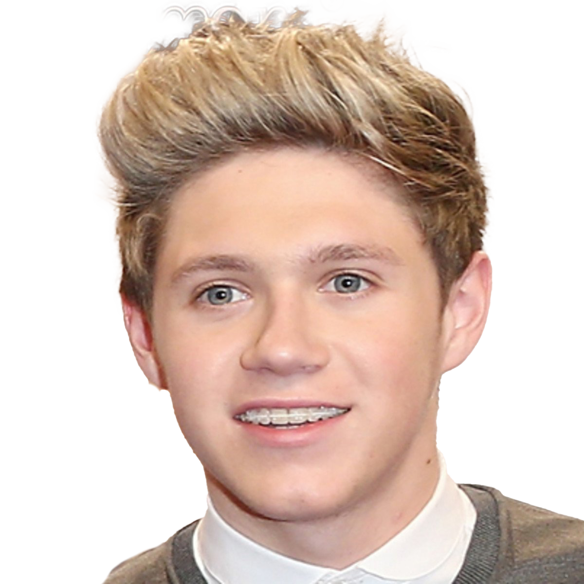 Niall Horan PNG Picture