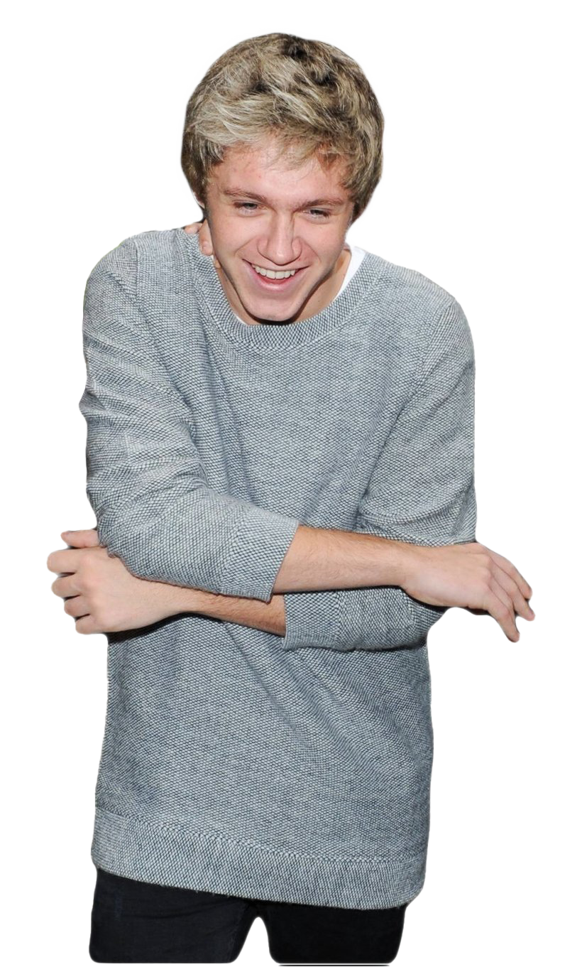 Niall Horan cantante