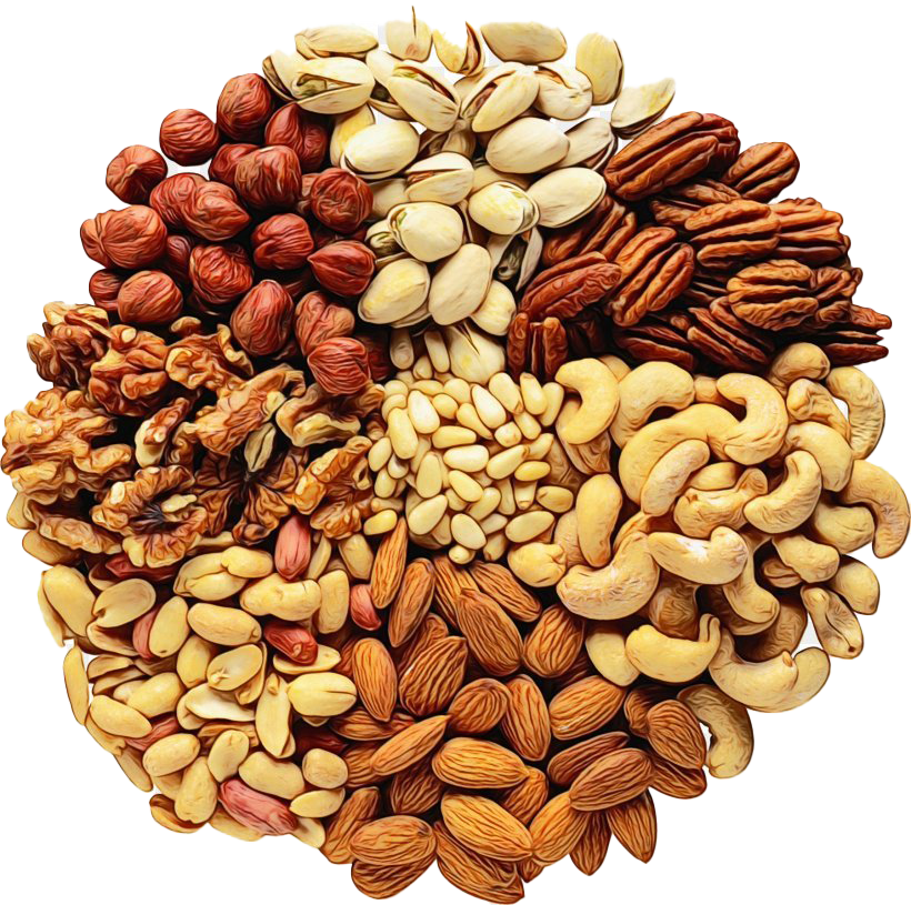 Nuts PNG Free Download