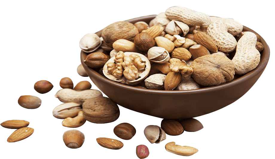 Nuts PNG Image File