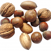 Nuts PNG Image HD