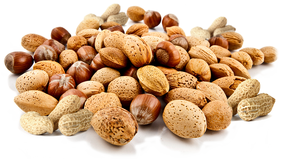 Nuts PNG Images