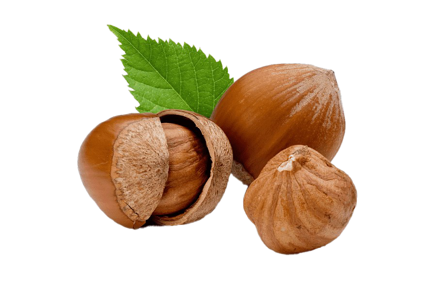 Nuts PNG Pic