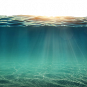 Океанское морское изображение PNG