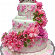 Roze cake png download afbeelding