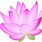 Roze lotus png clipart