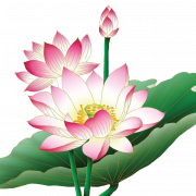 Pink lotus png libreng imahe