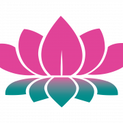 Pink Lotus Png HD Immagine
