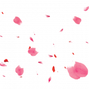 Roze roze bloemblaadjes png clipart