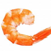 Shrimp PNG Image | PNG All