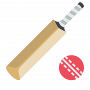 Gewone cricket bat PNG