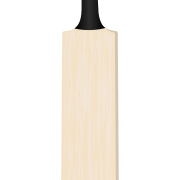 Gewone cricket bat png afbeelding