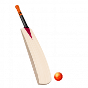 Bat de críquete simples transparente