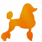 Image Caniche PNG