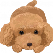 Fichier image Caniche PNG