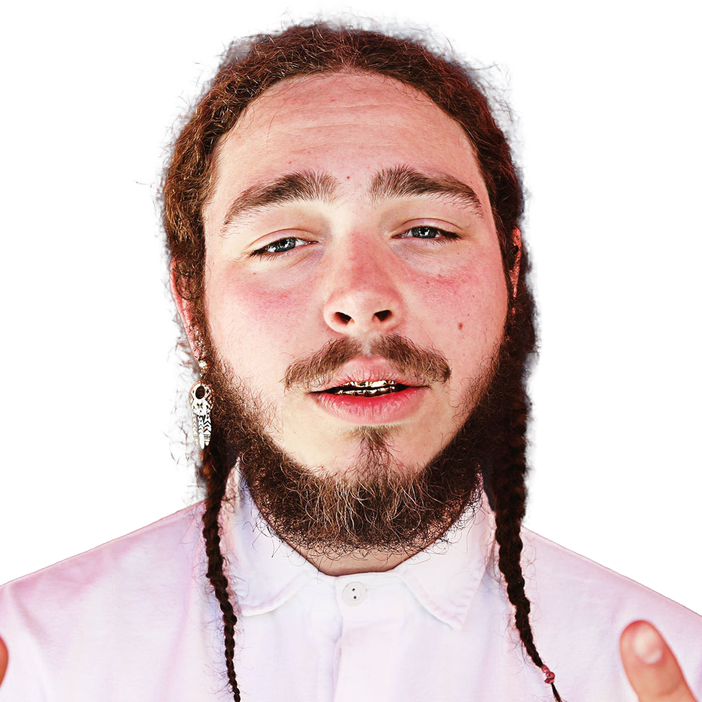 Poster Malone PNG Télécharger limage