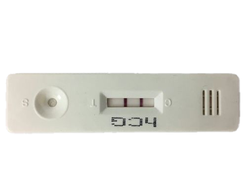 Pregnancy Test Kit PNG Free Download