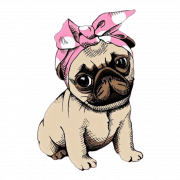 Pug Dog Png Clipart