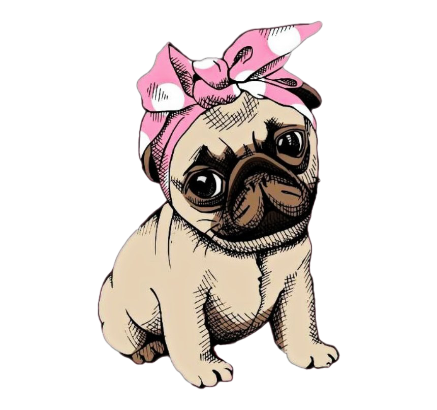 Pug Dog PNG Clipart
