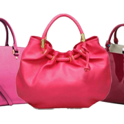 Purse PNG File