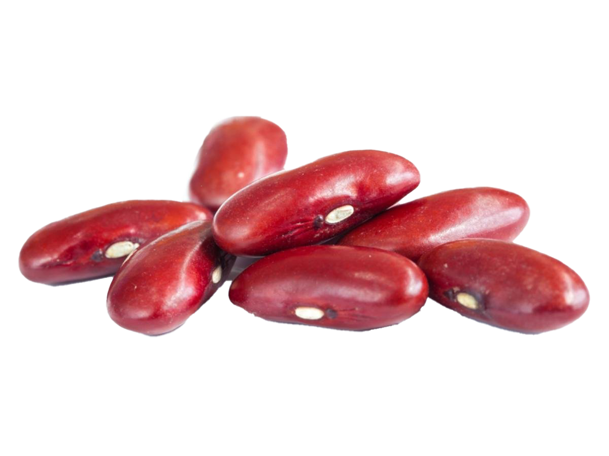 Kacang Ginjal Merah Png Clipart