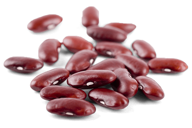 Red Kidney Beans PNG Download Image