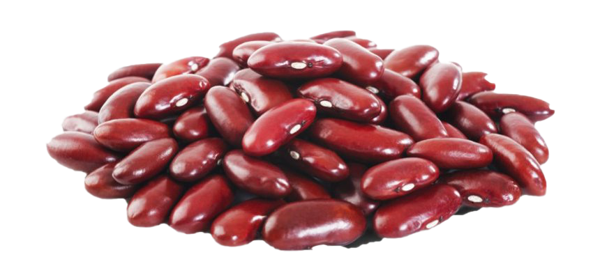 Red Kidney Beans PNG Free Download