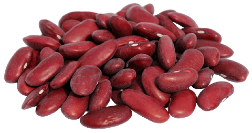 Red Kidney Beans PNG Free Image