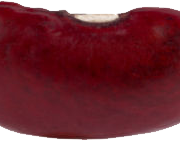 Red kidney beans png pic