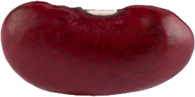 Red Kidney Beans PNG Pic