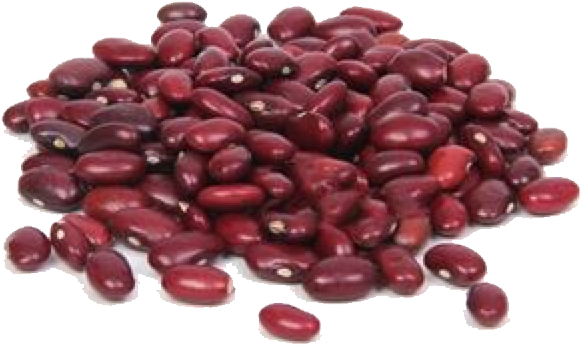 Ang mga pulang kidney beans transparent