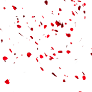 Pétalas de rosa vermelha PNG Download grátis