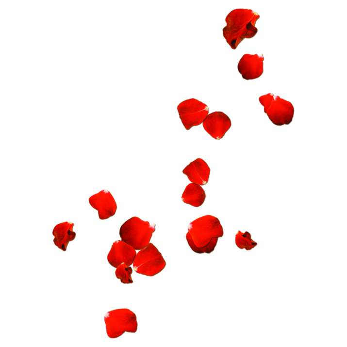 Red Rose Petals PNG Image File