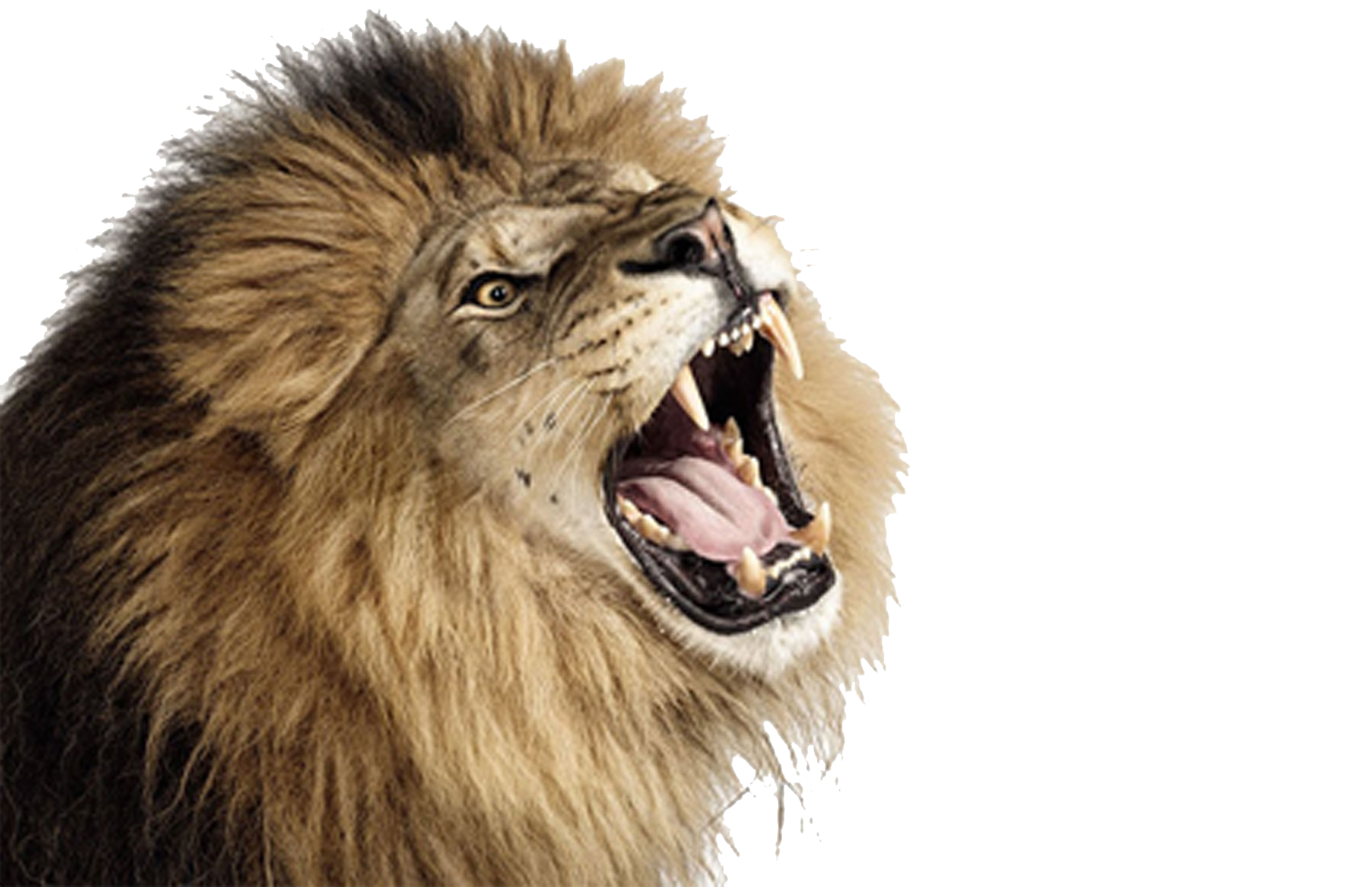 Roar PNG Picture