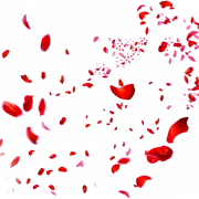 Rose Petals PNG